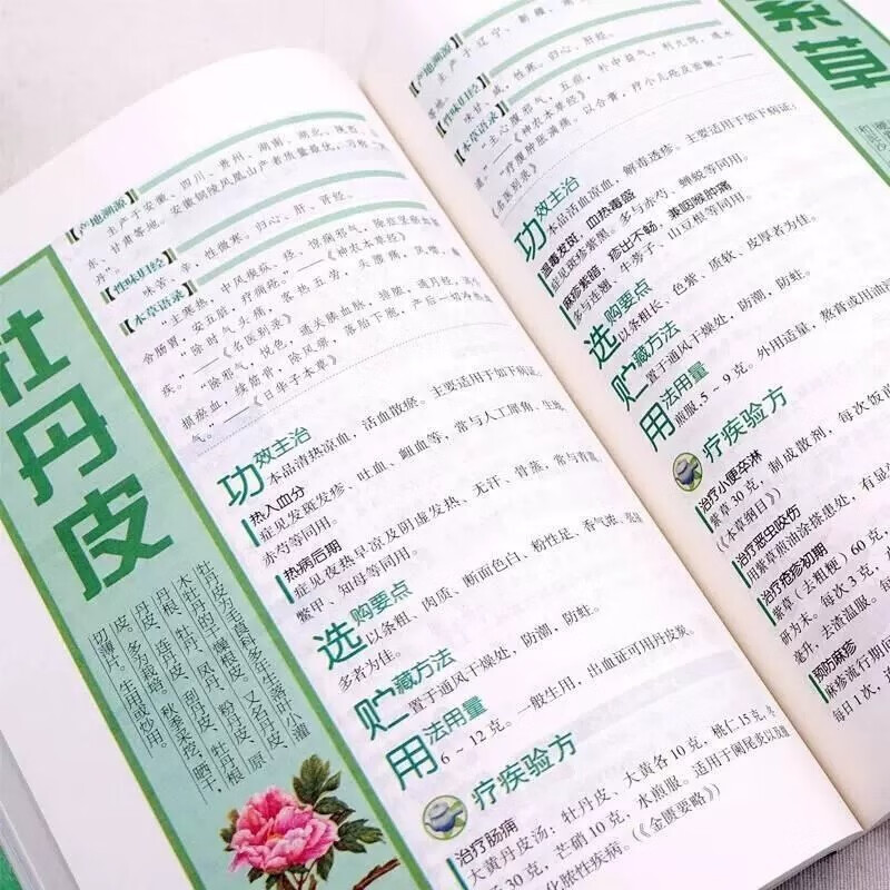 家族の伝統的な中国医学の健康維持のための完全ガイド：ハーブ、 - Wellness Health Nutrition のレビューと価格