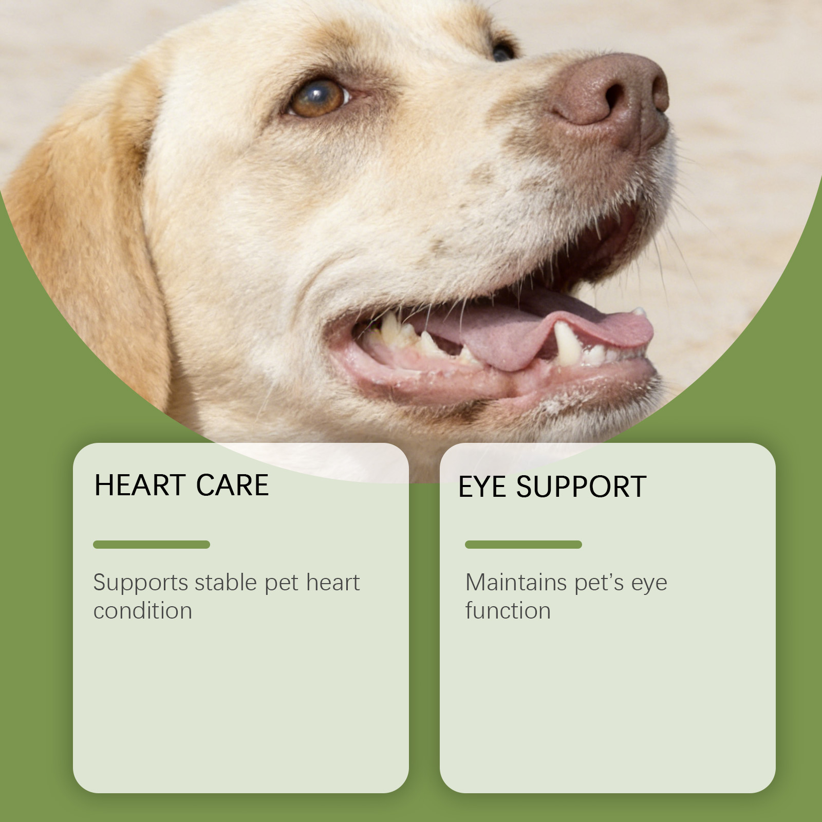 犬用タウリンパウダー 簡単混合 認知機能サポート 毛並み改善 - Wellness Health Nutrition のレビューと価格