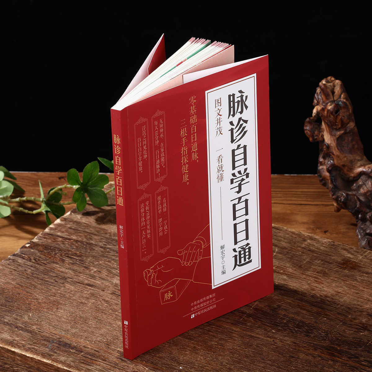 脈診独学百日合格、伝統中国医学入門独学健康書 - Health & Wellness Events のレビューと価格